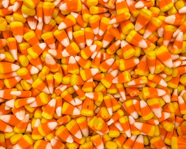 A Sea of Candy Corn/ Yun!